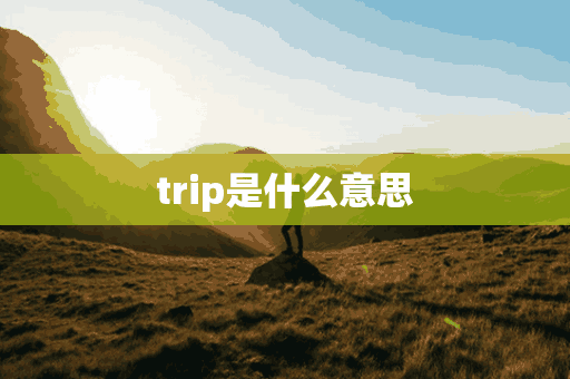 trip是什么意思